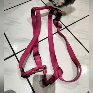Dog Nylon Harness